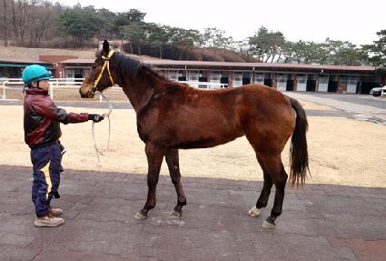 ���̳����� ����