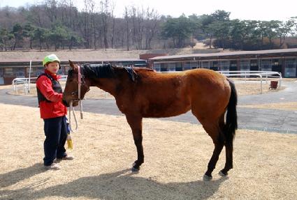 �ο������� ����