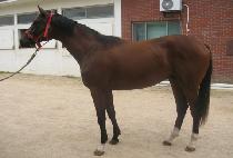 �����ǿ�� (YEOKJEONUI YONGSA) ����