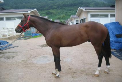 è�Ǿ����� ����