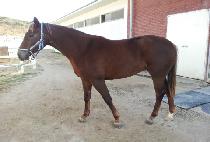 ������� (HUIMANG JEIL) ����