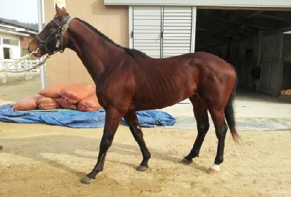 ������ ����