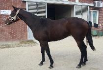 �ٶ��ǿ�ȥ (BARAMUI YEONGHON) ����