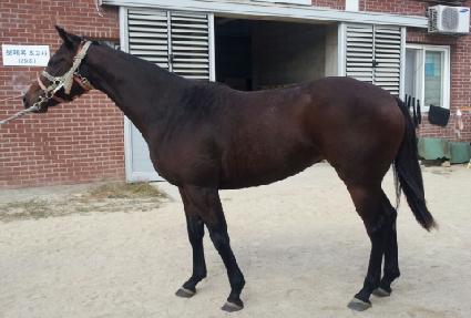 �ٶ��ǿ�ȥ ����