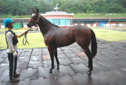 ��� ����