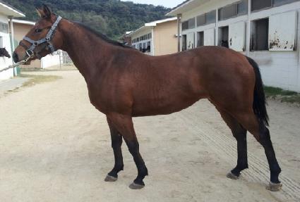 ���幫�� ����