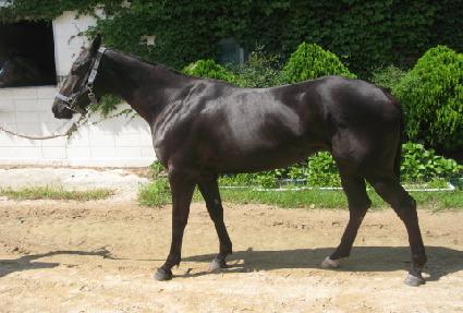 �̶�Ŭ���� ����