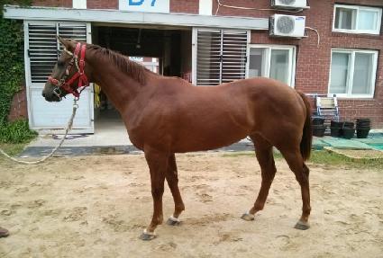 �����÷��� ����