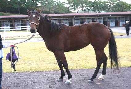 ��ȭ���� ����