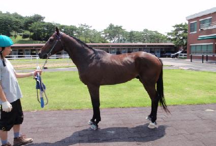 ������� ����