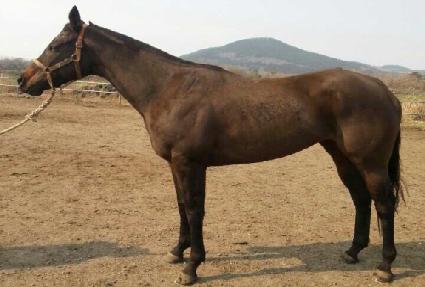 �������ǵ� ����