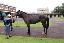 ���갡�� (SEONGSAN GAYA) ����