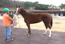 ������� (SUSEONG BIBI) ����