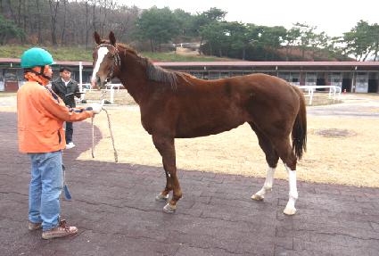 ������� ����