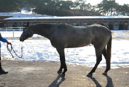 �׷��̵帮�� ����