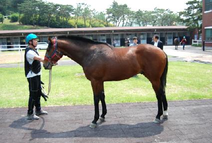 ��Ʈ���帮�� ����