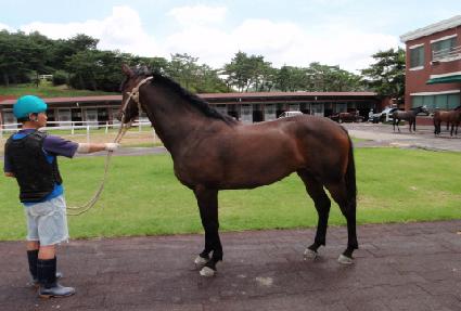 Į���ϸ� ����