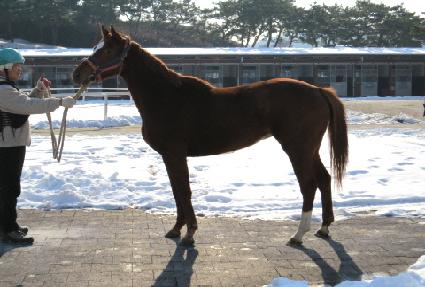 �̱۵帮�� ����