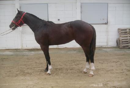 û��帲 ����