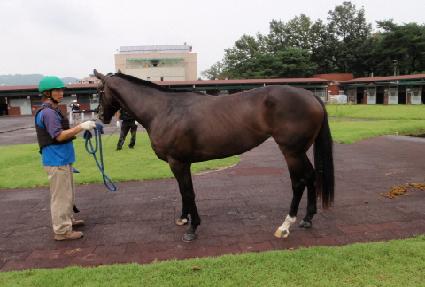 ķ�۽��帮�� ����