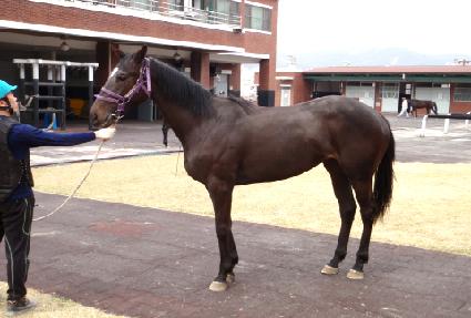 ��������� ����