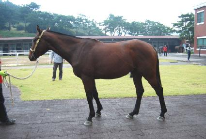 ���� ����