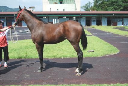 ���˿��� ����