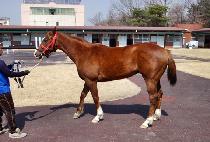 ���˰��� (BYEOLTTONG GONGJU) ����