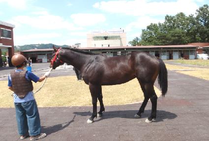 ����ķ�� ����