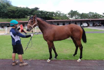 �Ҽ���ũ ����