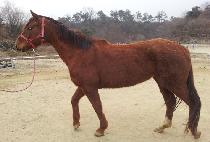 �ٴٸ��� (BADA MAEUL) ����