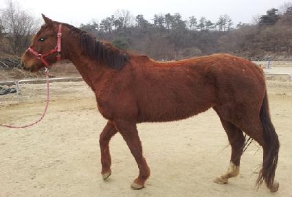 �ٴٸ��� ����