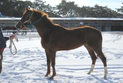 �̸��Ǿ� ����