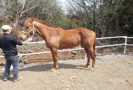 Ȳ�� ����