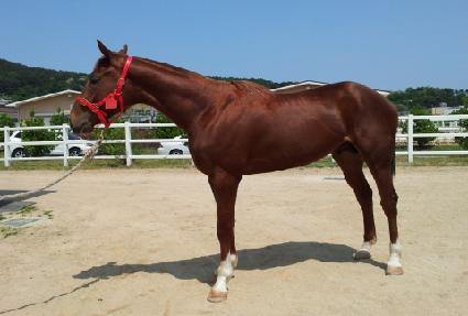 �����ǹٶ� ����