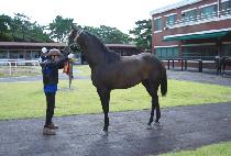 ����Ʈ��Ű (SWEET YANKEE) ����