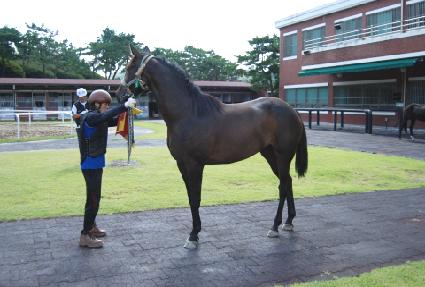 ����Ʈ��Ű ����