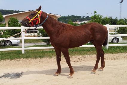 ���а��� ����