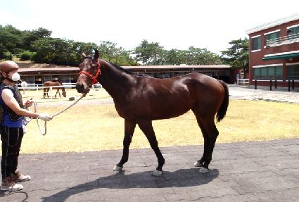 ���̽�ķ�� ����