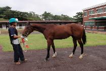 �Ѽ� (HANSOL) ����