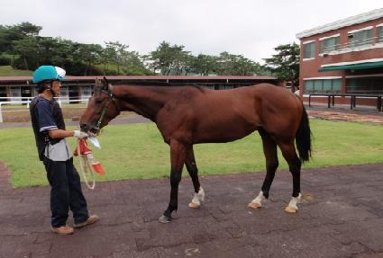 �Ѽ� ����