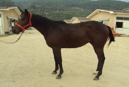 ����� ����