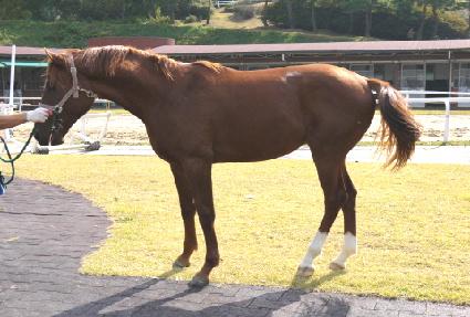 �����Ŀ ����