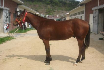 ���۽��ǵ� ����