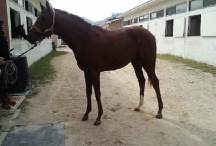 �ٺ���Ű ����