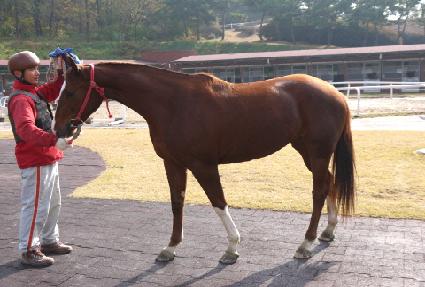 ����Ʈ�ö�� ����