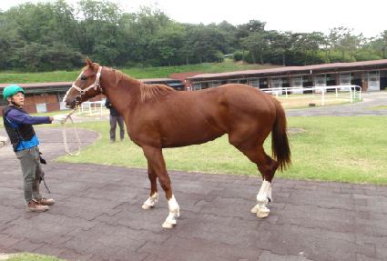 Ŭ����ķ�� ����