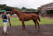 ��ȭź�� (SINHWA TANSAENG) ����