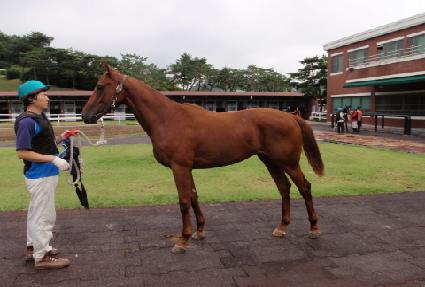 ��ȭź�� ����