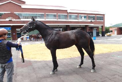 ���̽����� ����